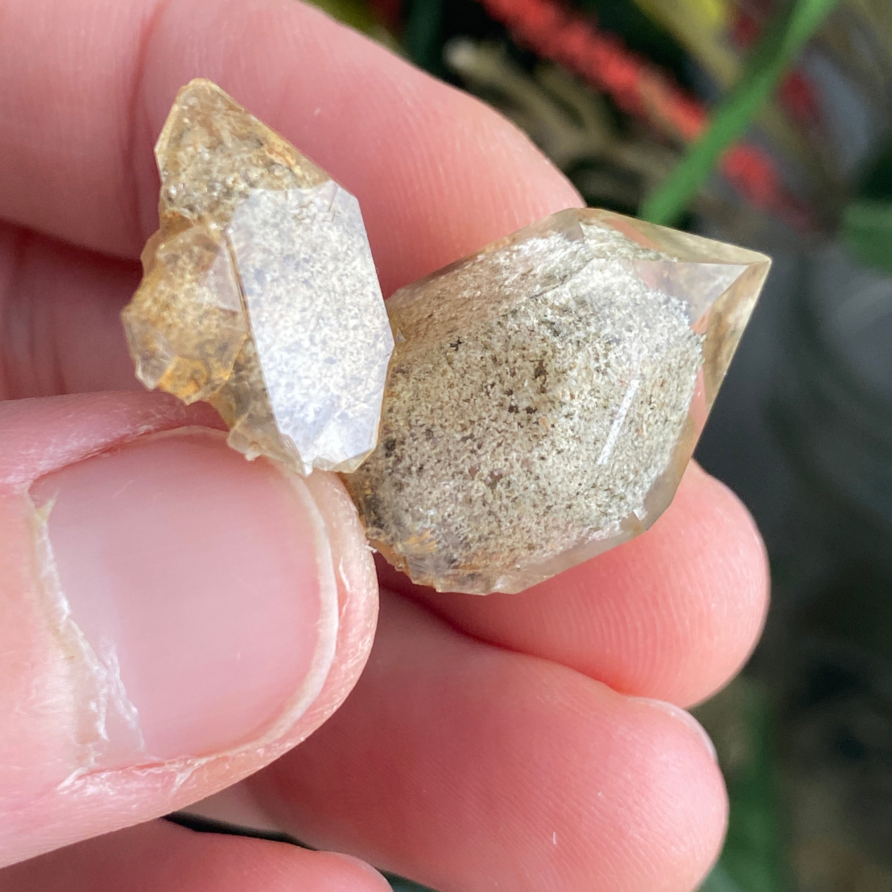 #C951 4 Piece Lodolite Bundle Deal!